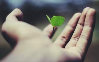 Growth Mindset & Your Career